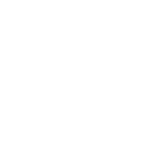 icon neu
